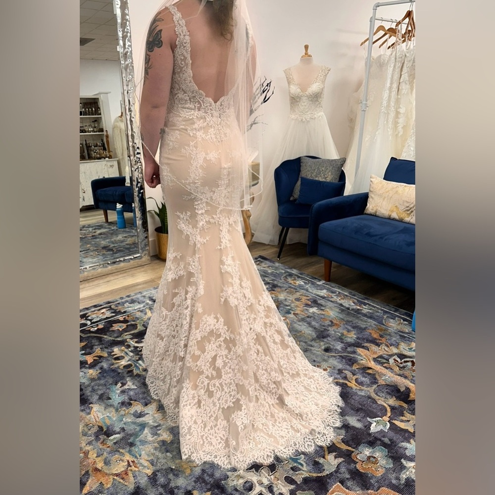 Ella Rosa Elegant Lace Wedding Dress in Cream and White - Picture 3 of 13